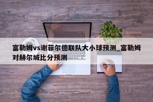 富勒姆vs谢菲尔德联队大小球预测_富勒姆对赫尔城比分预测